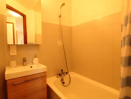 Appartement 5 pers aux Carroz, pied des pistes et garage : photo 6
