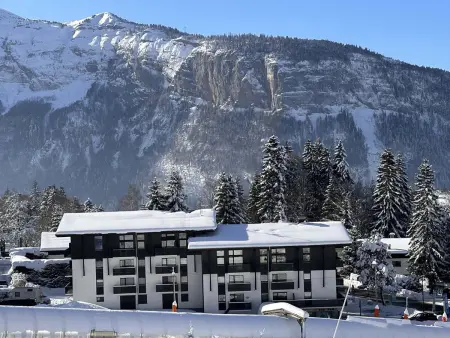 Duplex 6 pers aux Carroz, accès direct piste débutants : photo 12