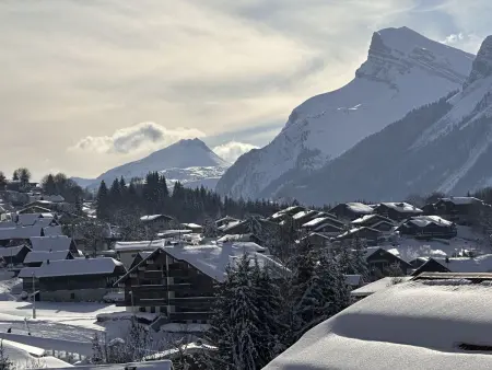 Duplex 6 pers aux Carroz, accès direct piste débutants : photo 13