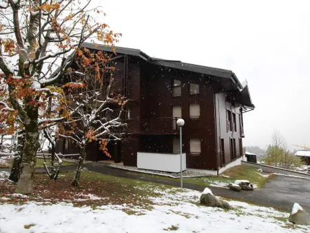Appartement 4 pers aux Carroz, pied des pistes + parking : photo 9