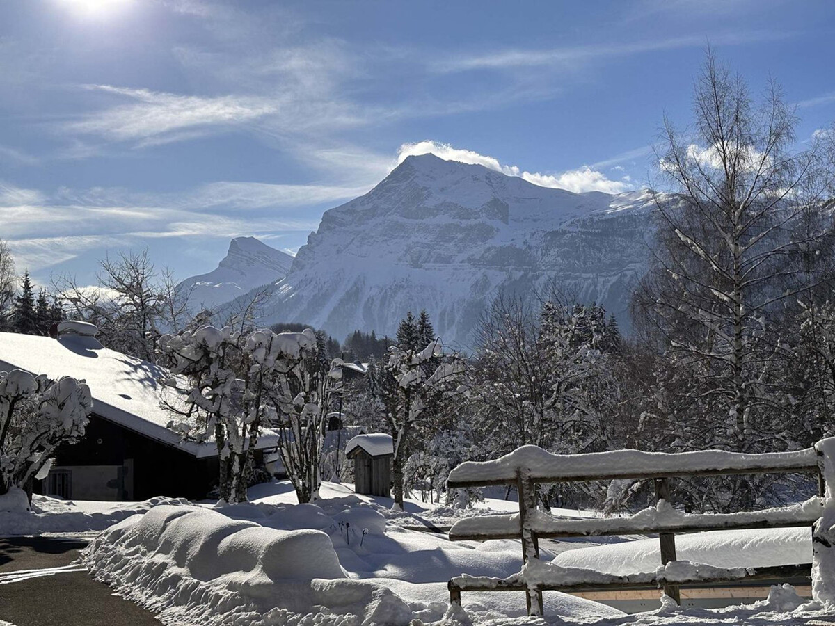 Studio 4 pers avec cabine aux Carroz, 450m des pistes - Photo 15