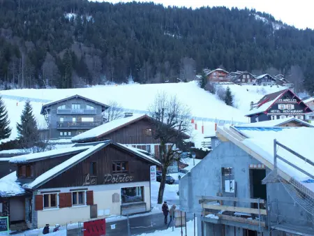 2 pièces face aux pistes aux Carroz, balcon sud-est, casier à skis : photo 8