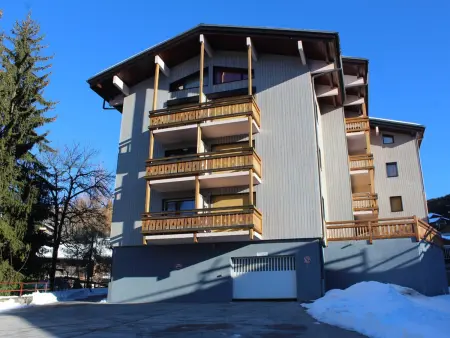 2 pièces face aux pistes aux Carroz, balcon sud-est, casier à skis : photo 10
