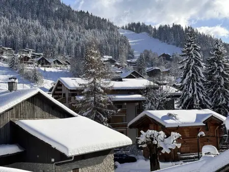 2 pièces face aux pistes aux Carroz, balcon sud-est, casier à skis : photo 12