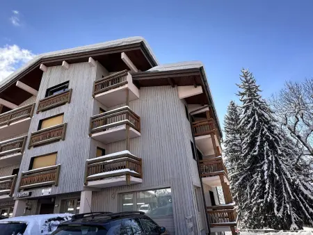 2 pièces face aux pistes aux Carroz, balcon sud-est, casier à skis : photo 13
