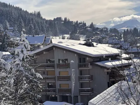 2 pièces face aux pistes aux Carroz, balcon sud-est, casier à skis : photo 14