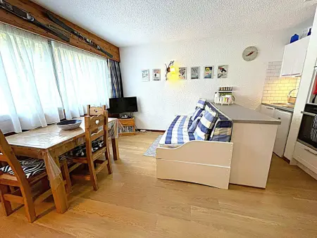 Location appartement à Chamonix Mont Blanc, Studio au pied des pistes à Chamonix avec parking privé, proche centre