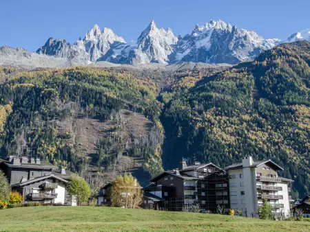 Studio 28m² Chamonix, accès direct aux pistes, parking : photo 11