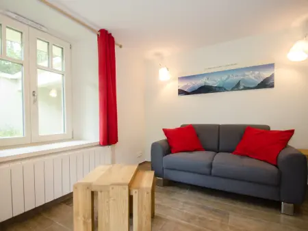 Appartement rénové 45m² vue Mont-Blanc, parking à Chamonix : photo 9