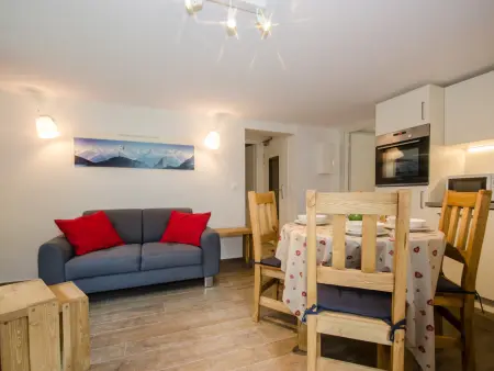 Appartement rénové 45m² vue Mont-Blanc, parking à Chamonix : photo 16