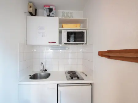 Studio 5 pers. centre village Les Carroz, animaux OK : photo 6