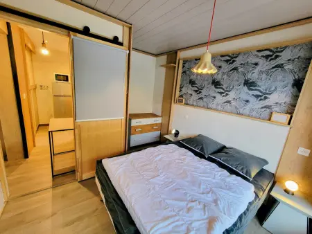 Appartement 3 pièces, ski aux pieds, 2 balcons sud : photo 3