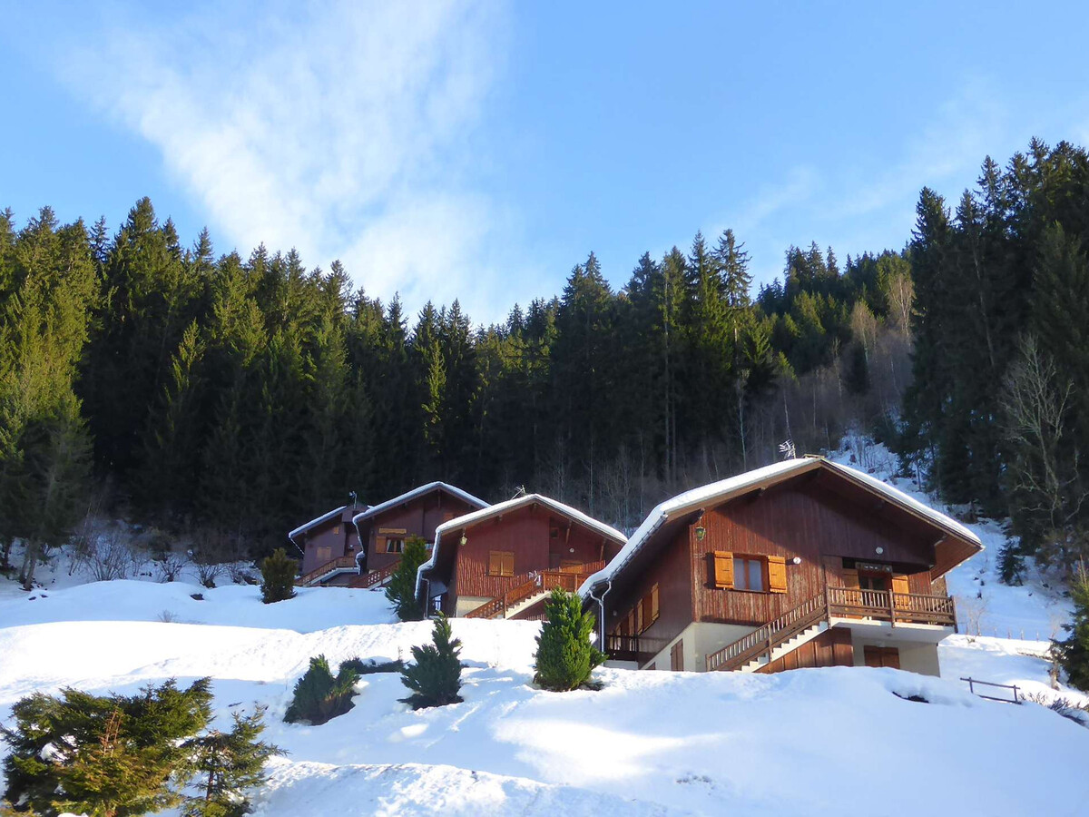 Studio 4 pers. en forêt avec terrasse à Arêches-Beaufort - Photo 8