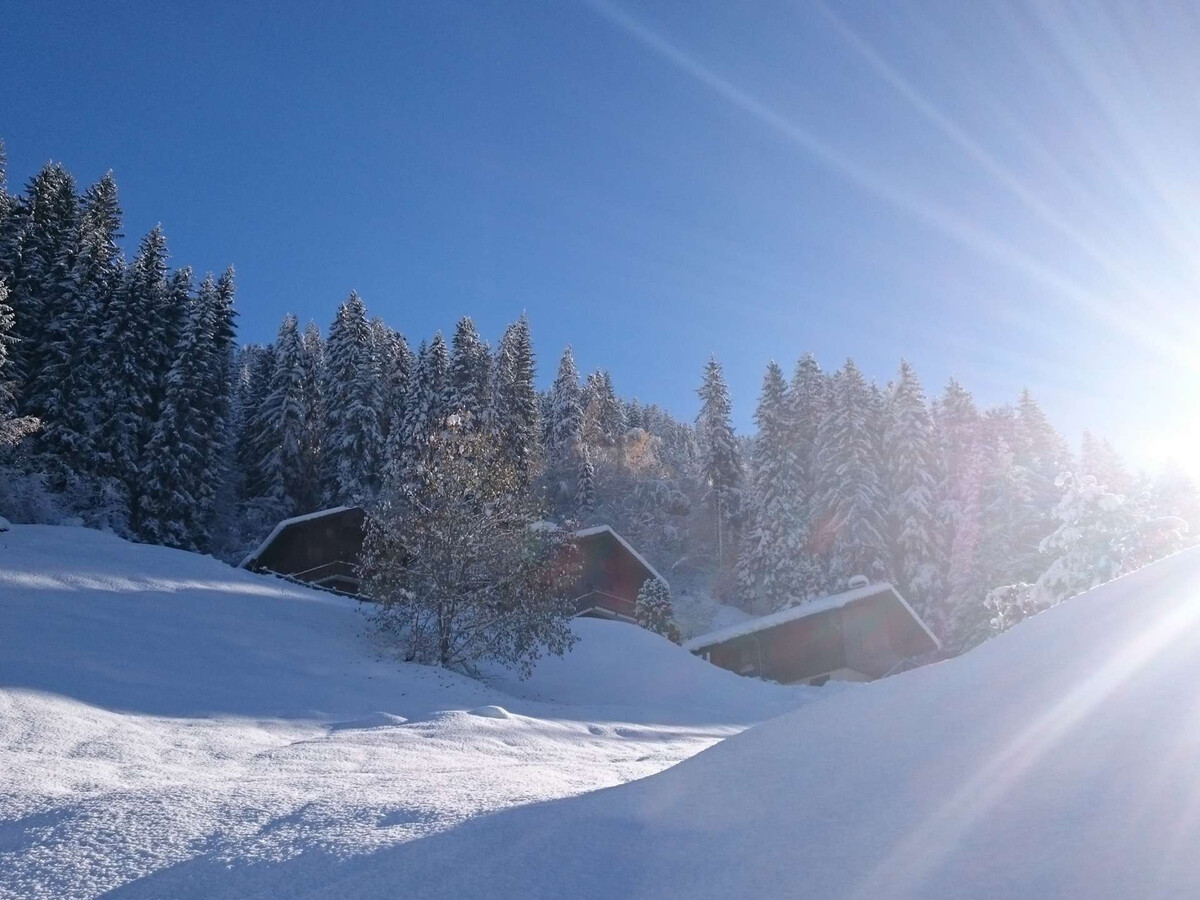 Studio 4 pers. en forêt avec terrasse à Arêches-Beaufort - Photo 11