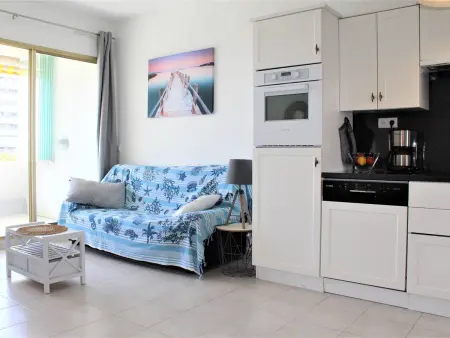 Appart 3 pièces vue mer et terrasse, 5e étage à Villeneuve-Loubet : photo 6