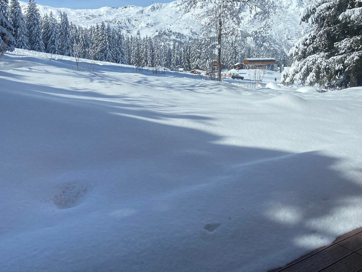 Sylvanelles1 : Appartement 55 m² · Ski aux pieds · Terrasse - Photo 12