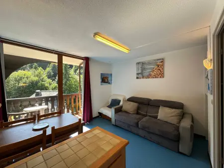 Studio 21 m² pour 4 pers. à Morillon, balcon ouest : photo 5