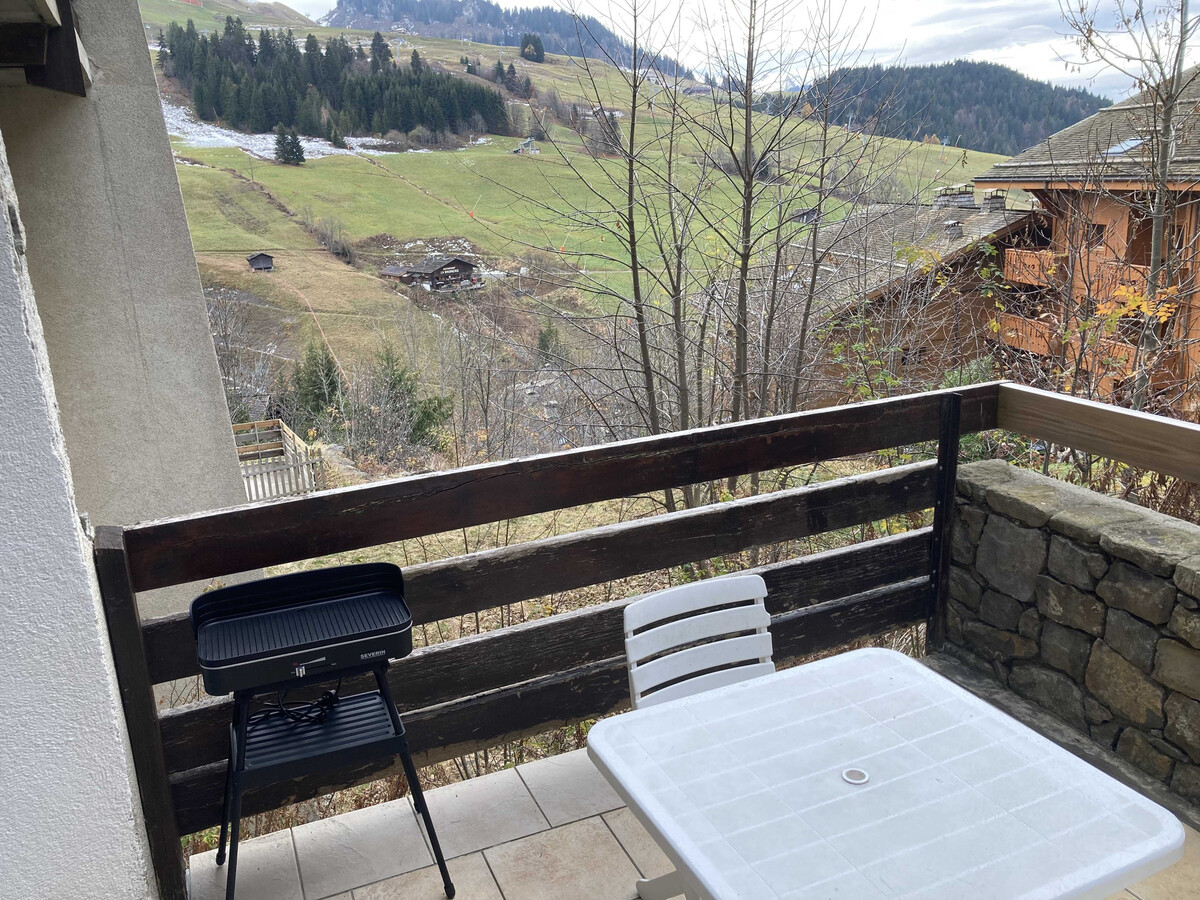 Appartement 17m² vue montagne, 700m des pistes - Photo 8