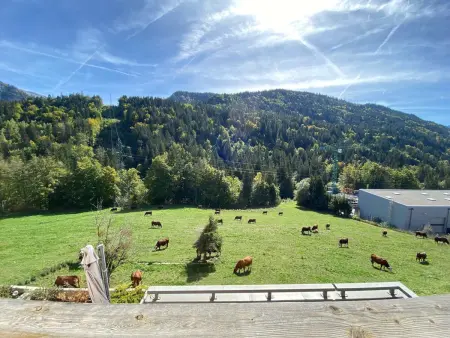 Appart 66m² 2 ch + coin nuit, balcon sud, garage : photo 14