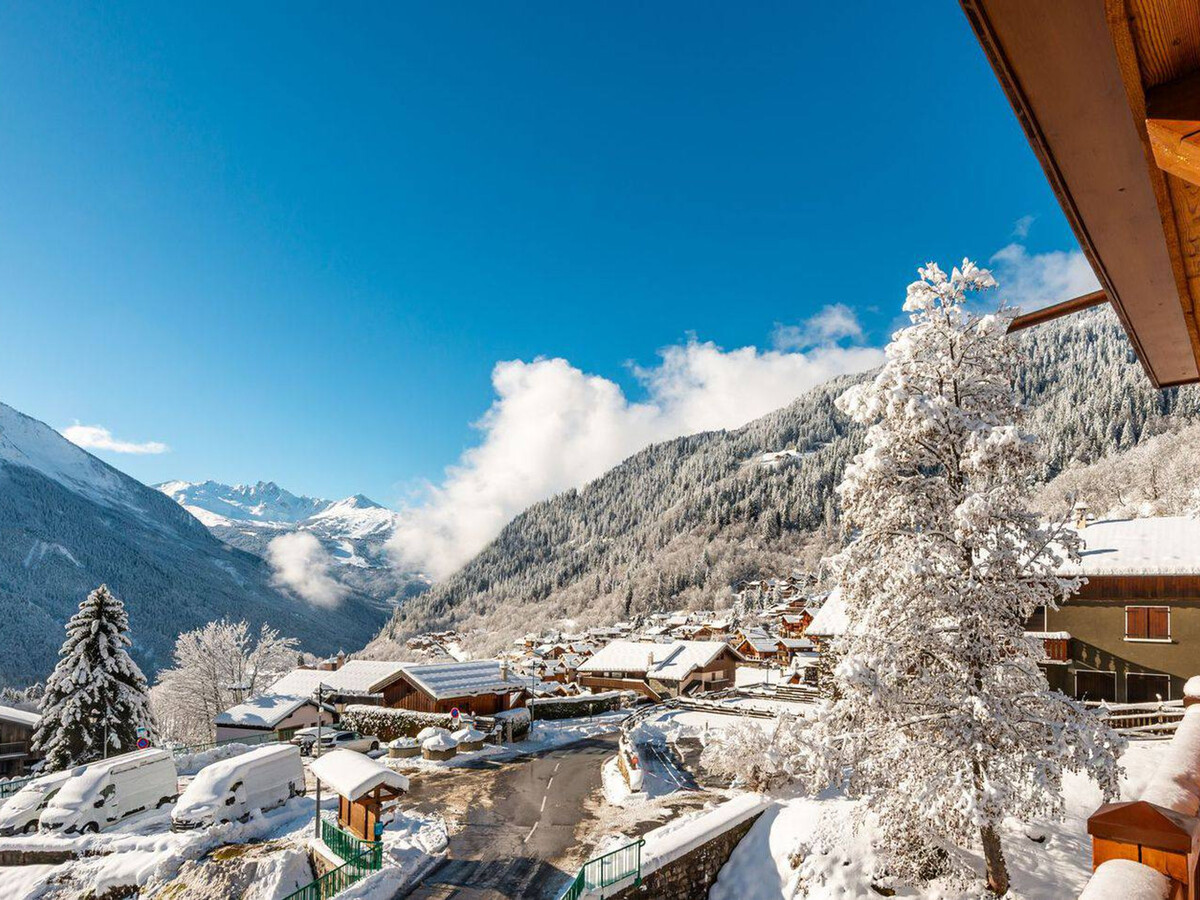 Grand Bouquetin : appartement 6 pers, terrasse Est à Champagny - Photo 29