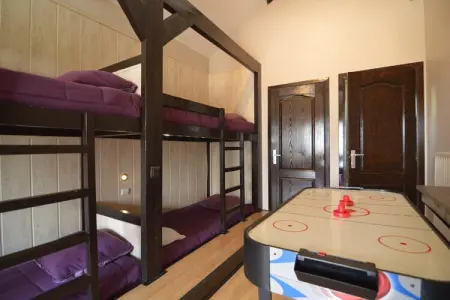La Pole Position : maison 18 pers., sauna et billard : photo 38