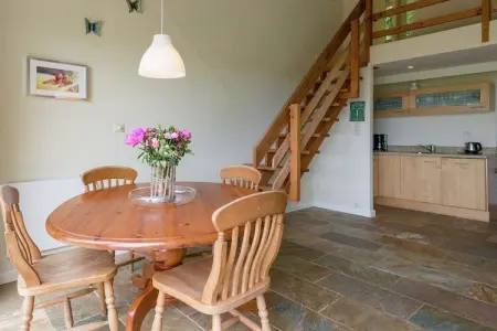 Le Vieux Sart 29 – Maison Coo, vue sur les Ardennes : photo 8
