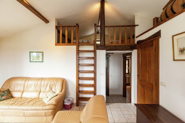 Gîte Prémassin - 8 pers., 100 m de la forêt - Photo 10