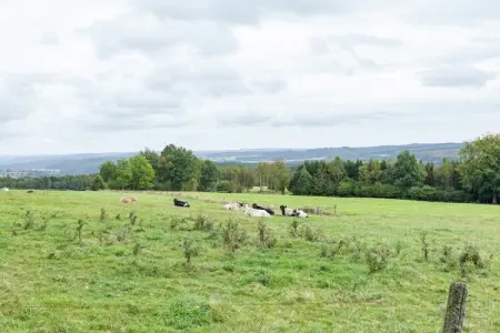 Gîte Prémassin - 8 pers., 100 m de la forêt : photo 8