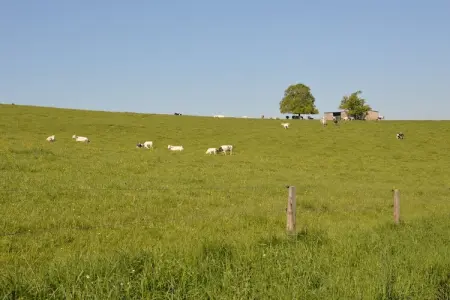 Gîte Prémassin - 8 pers., 100 m de la forêt : photo 27