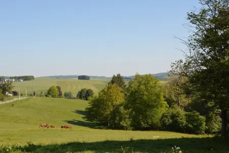 Gîte Prémassin - 8 pers., 100 m de la forêt : photo 28