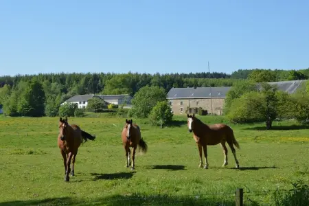 Gîte Prémassin - 8 pers., 100 m de la forêt : photo 30