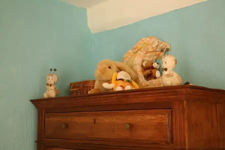 Clos Simon d'Exbomont – Gîte XVIIIe siècle, 9 personnes : photo 23