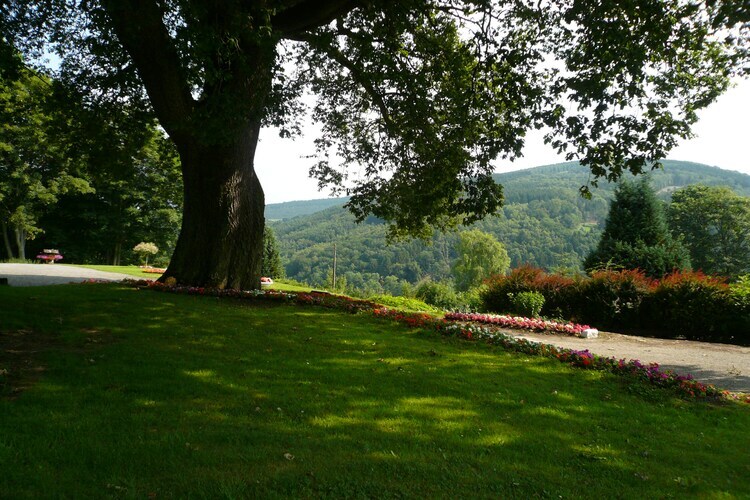 Maison 20 personnes à Trou de bra : vue nature et terrasse - Photo 38
