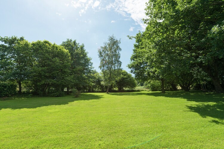 Gîte Jevigné : 5 chambres, forêt ardennaise, 8 km des pistes - Photo 18