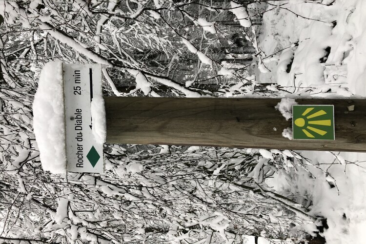 Gîte Jevigné : 5 chambres, forêt ardennaise, 8 km des pistes - Photo 23