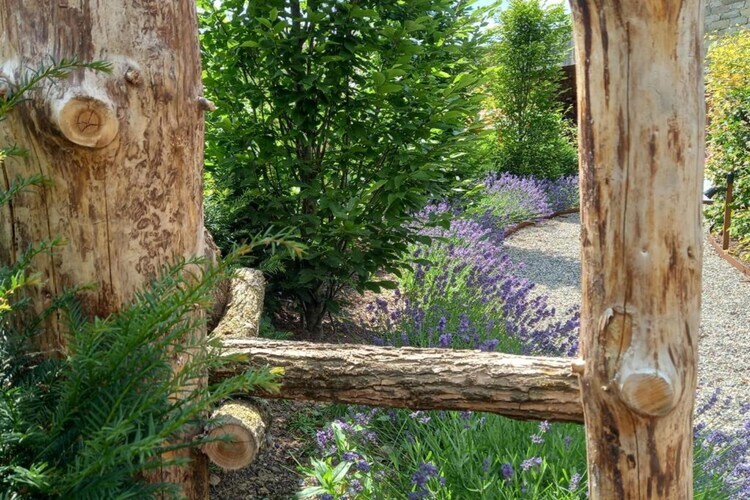 Gîte Jevigné : 5 chambres, forêt ardennaise, 8 km des pistes - Photo 35