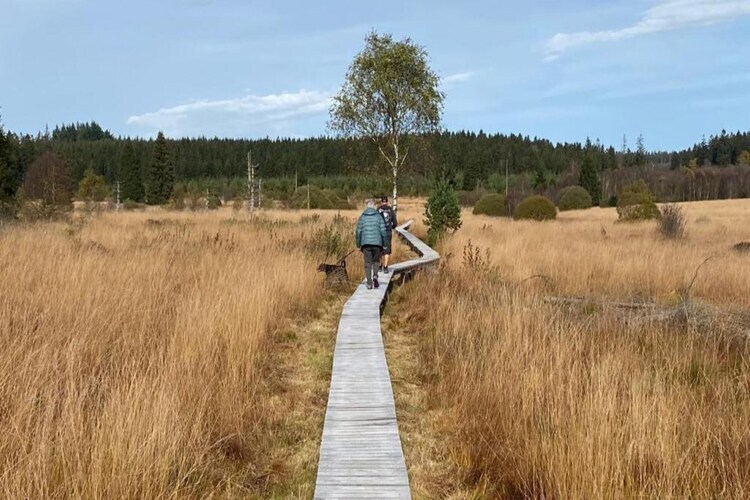 Gîte Jevigné : 5 chambres, forêt ardennaise, 8 km des pistes - Photo 37