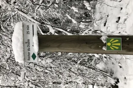 Gîte Jevigné : 5 chambres, forêt ardennaise, 8 km des pistes : photo 23