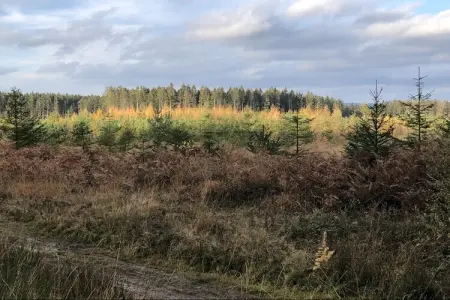 Gîte Jevigné : 5 chambres, forêt ardennaise, 8 km des pistes : photo 24