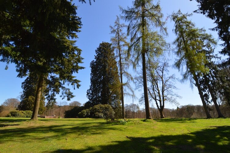 La Maison du Cocher – 9 personnes, court de tennis - Photo 25