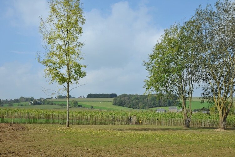 Maison 12 personnes avec sauna infrarouge à Somme Leuze - Photo 18