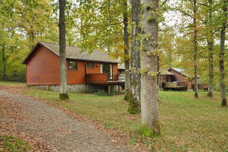 Le Bochetay 12 – Chalet boisé 6 pers. près de Namur - Photo 5