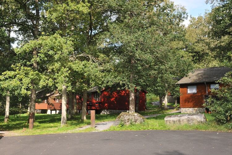 Le Bochetay 12 – Chalet boisé 6 pers. près de Namur - Photo 20