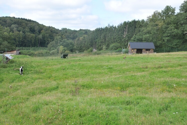 Le Bochetay 12 – Chalet boisé 6 pers. près de Namur - Photo 23