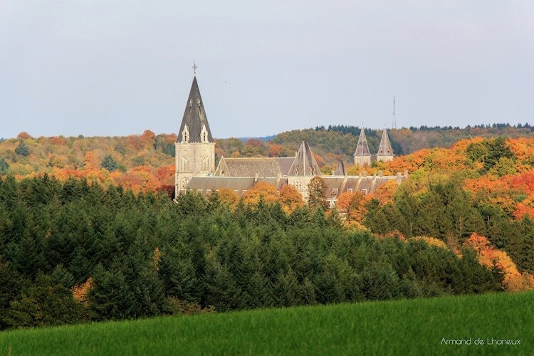 La Rose, Ferme paisible de Fontenelle - Photo 37