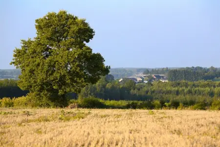 Les Sittelles – Gîte 3 chambres en ferme : photo 27