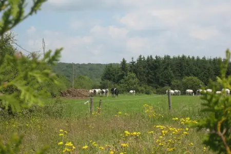 Les Sittelles – Gîte 3 chambres en ferme : photo 28