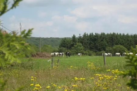 Les Sittelles – Gîte 3 chambres en ferme : photo 31