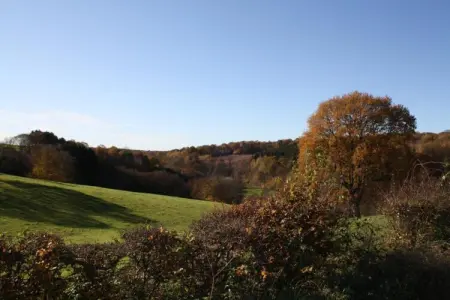 Le Marteaubois – Maison 8 pers. à Robechies : photo 32