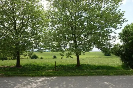 Le Marteaubois – Maison 8 pers. à Robechies : photo 34